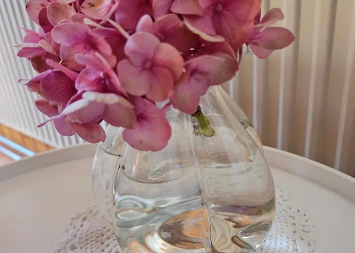 2 Zimmer-wohnung Zur Erholung Im Emmental *