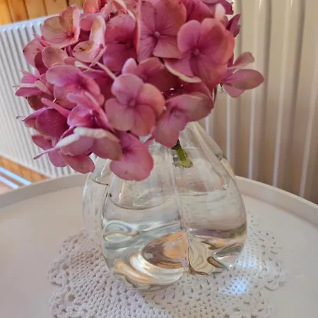 2 Zimmer-wohnung Zur Erholung Im Emmental *